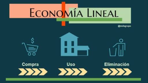Lee más sobre el artículo De la economía lineal a la economía circular